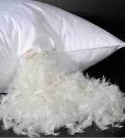 Duck Feather Pillow 1 Pis