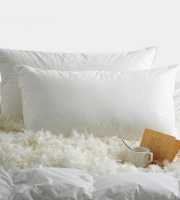 Duck Feather Pillow 2 Pis